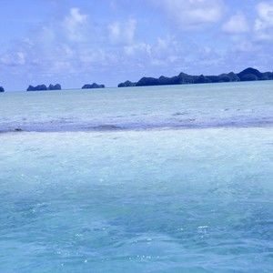 Meet your Posher, Pansy